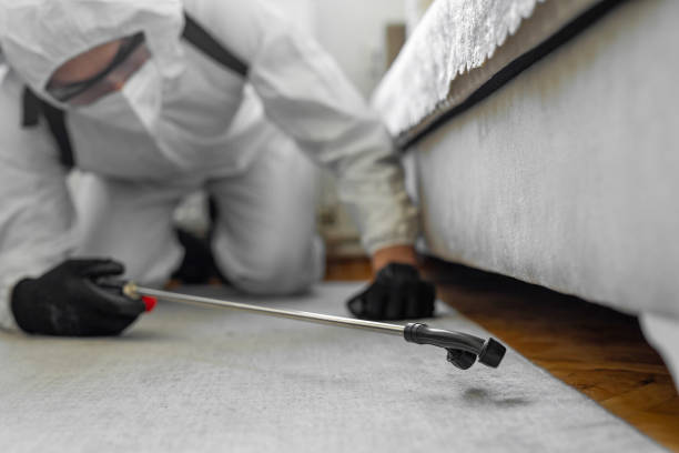 Professional Bed Bug Control technician working in Clive, IA